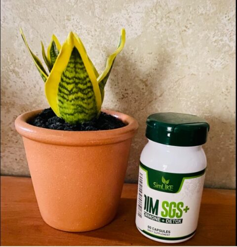 Simlike DIM SGS + - Hormone Balance & Detox Support photo review
